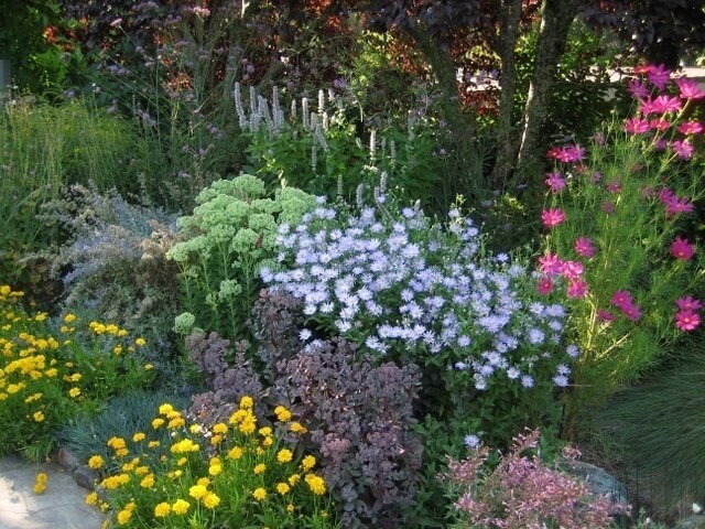 Colorful Habitat Garden in Woodacre