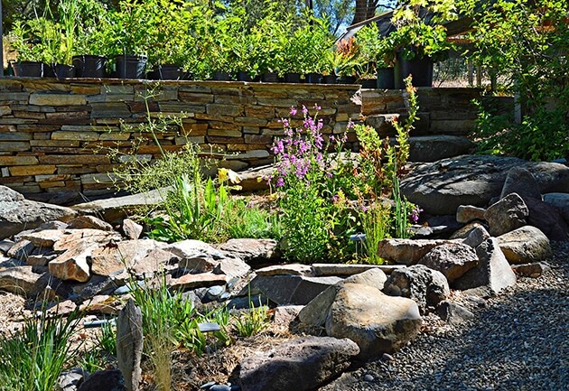 Create a heat sink and basking opportunities by using stone and gravel in your garden.