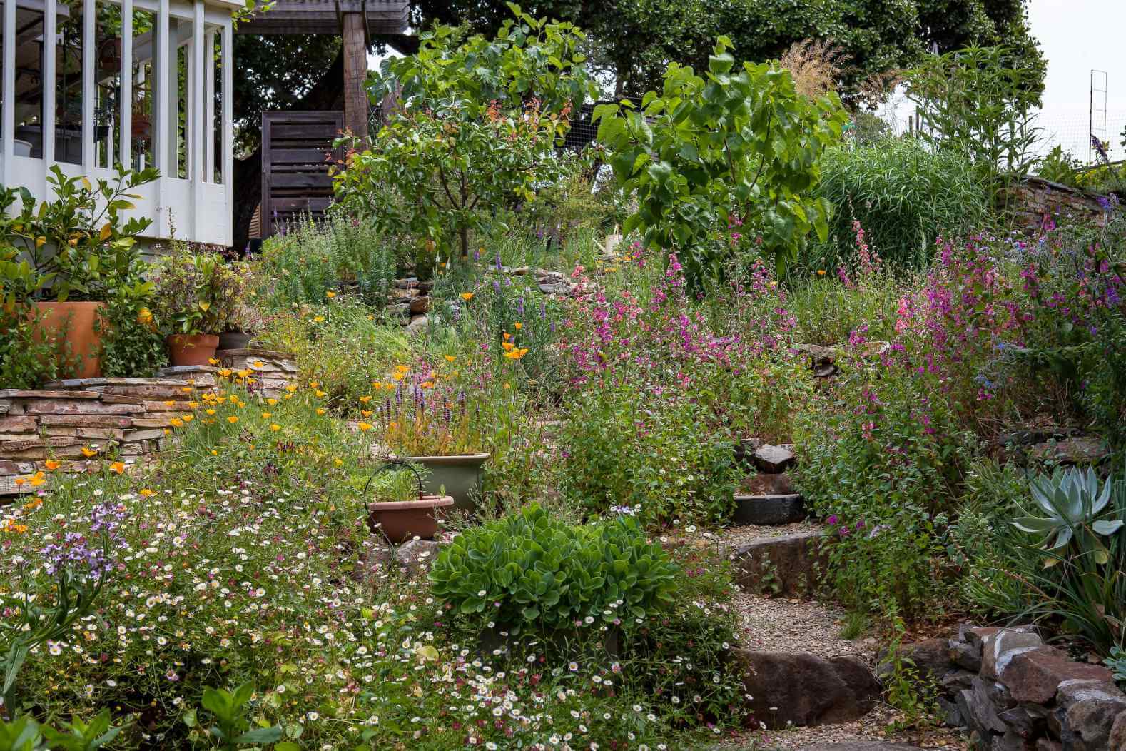 Home Ground Habitats - Backyard Garden
