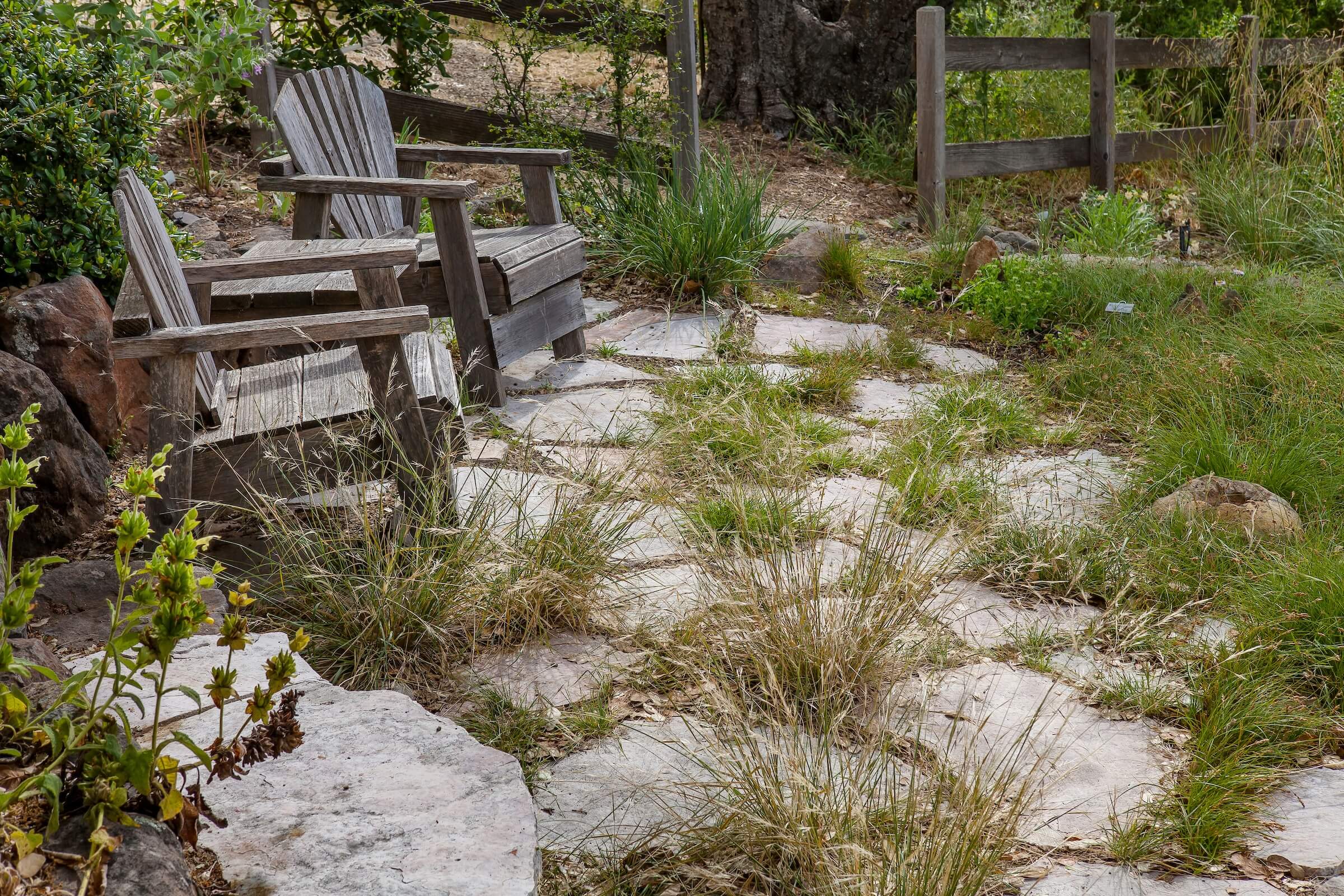 Seating area on the edge of my new meadow. Photo: Saxon Holt