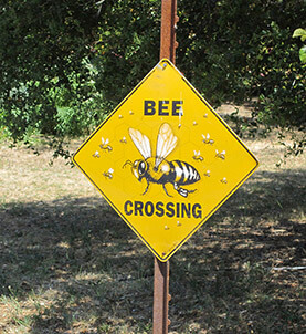 Bee Crossing sign