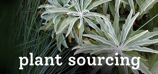 Plant Sourcing