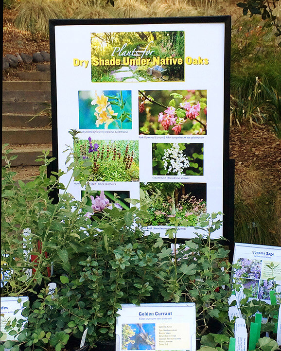 cnps plant sale