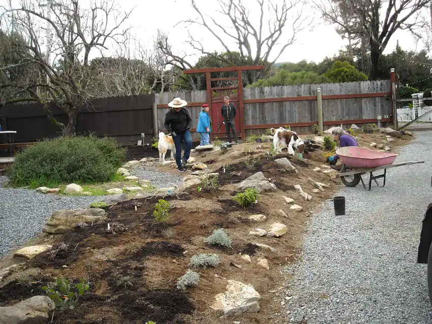Home Ground Habitats - 7 - Jan 2020 - Planting and Discussing Irrigation