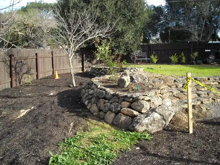 Home Ground Habitats - C2 - Mulberry Wall Feb 2021