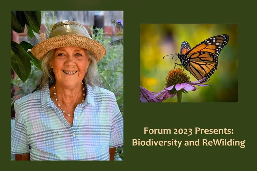 Home Ground Habitats - EFM Biodiversity and ReWilding - Images of Charlotte Torgovitsky, a butterfly on a flower and texts.