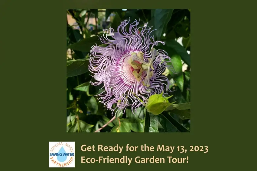 Get Ready for the May 13, 2023 Eco-Friendly Garden Tour!