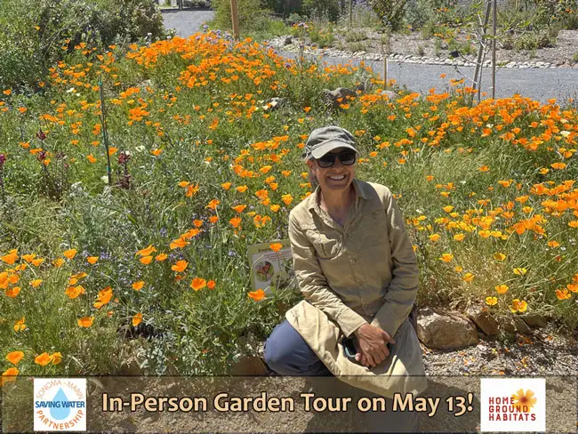 Home Ground Habitats - In-Person Garden Tour - A woman with a garden behind her, logo and texts.