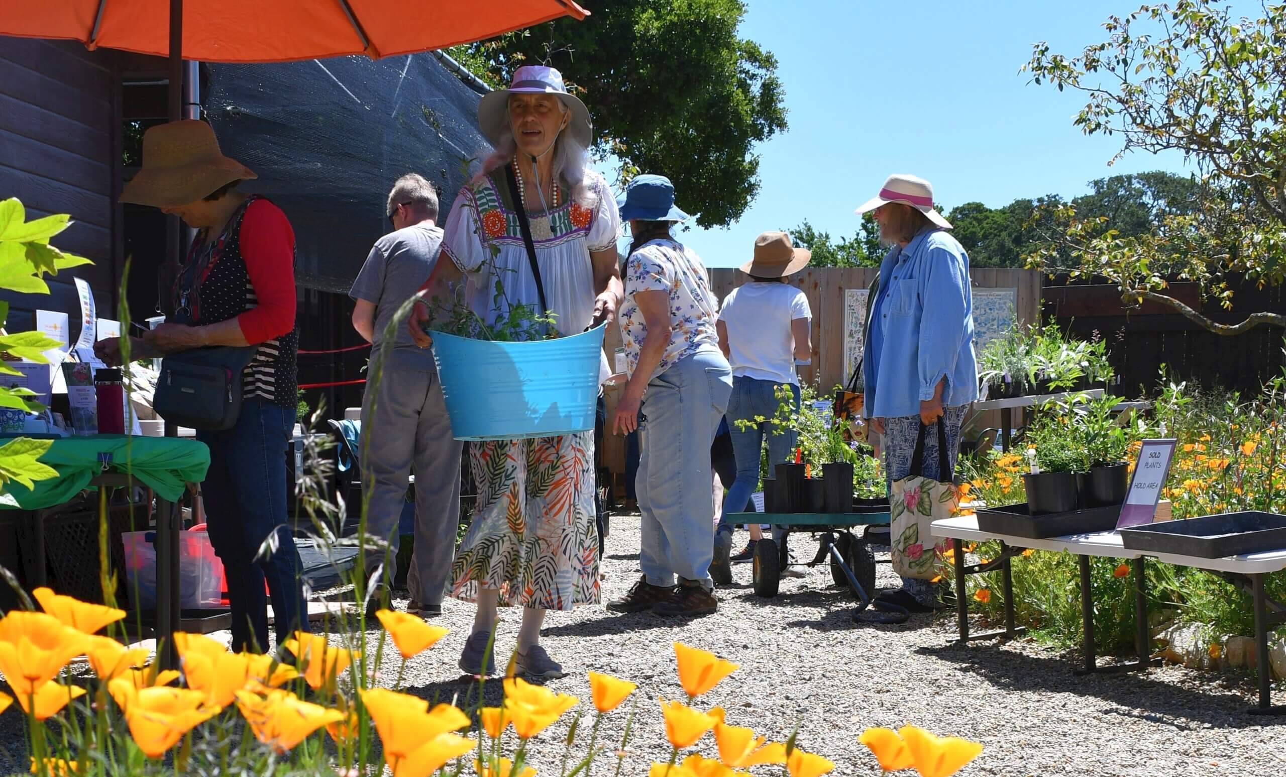 Home Ground Habitats Plant Sale 2023