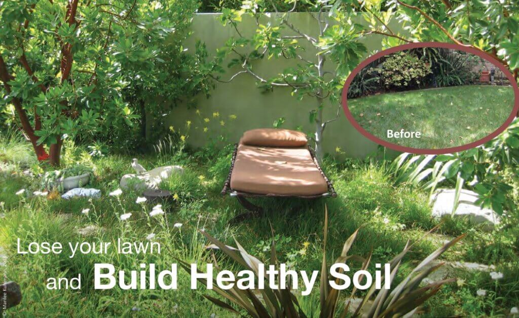 Lose your lawn and build healthy soil