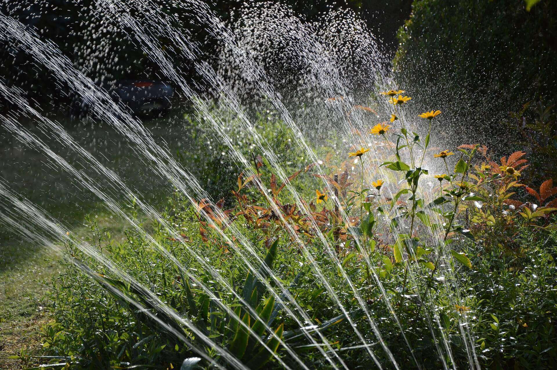 garden irrigation