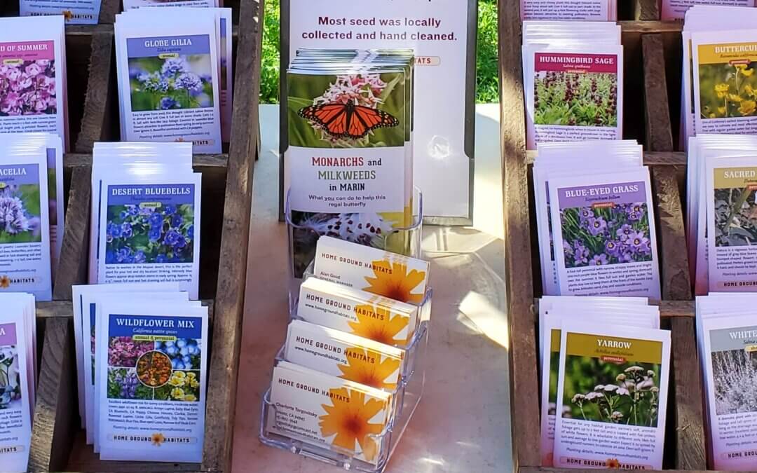 Home Ground Habitats Seed For Sale - Seed packets and calling cards on a table