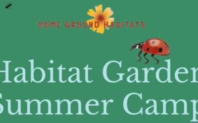 First Annual Habitat Garden Summer Camp