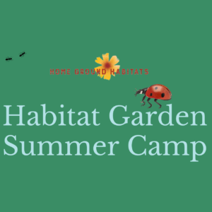 Habitat Garden Summer Camp