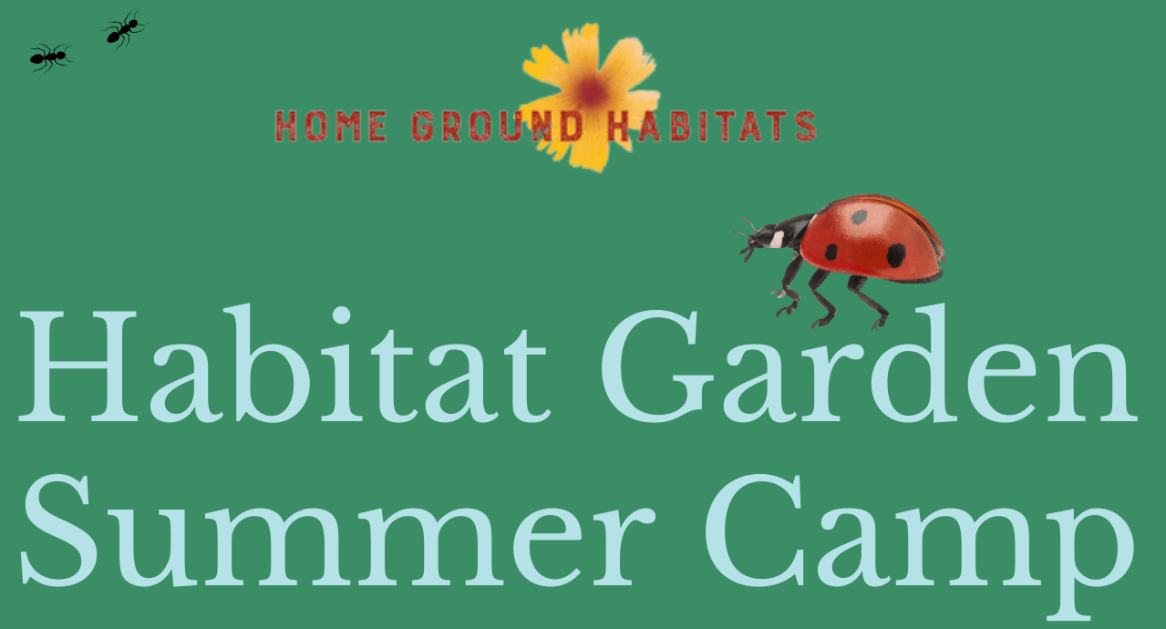 HGH Habitat Garden Summer Camp