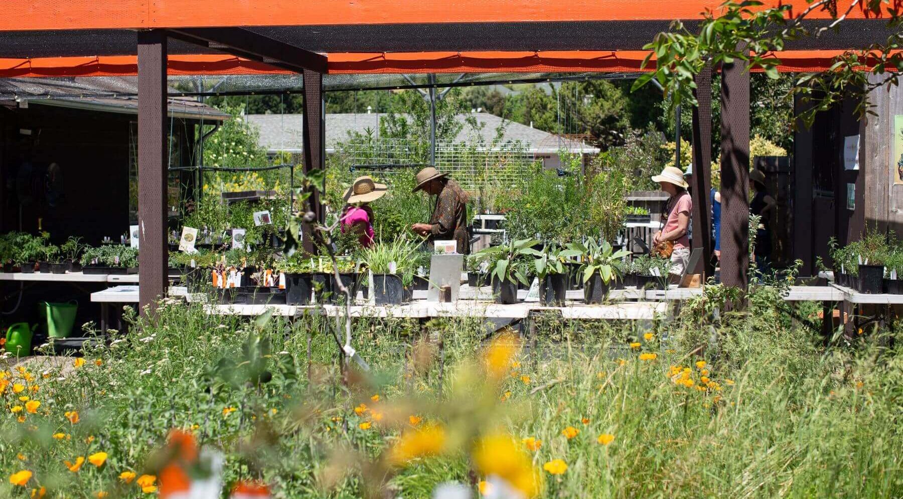 Garden Sale